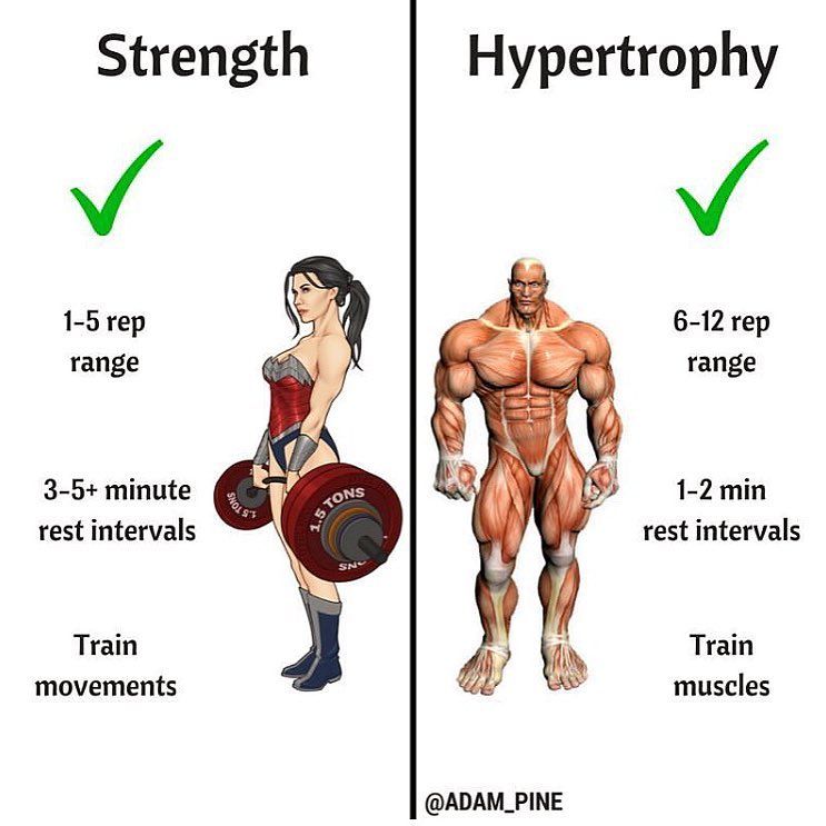 understanding-hypertrophy-repetition-range-to-build-muscle-genefitletics