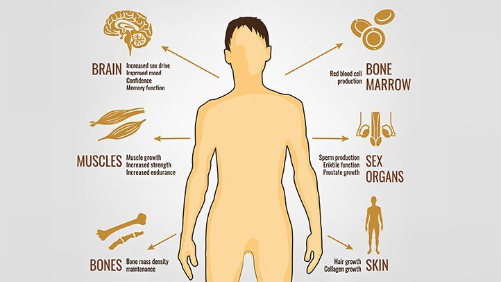 Boosting your Testosterone: How does it helps in muscle growth & fat loss?
