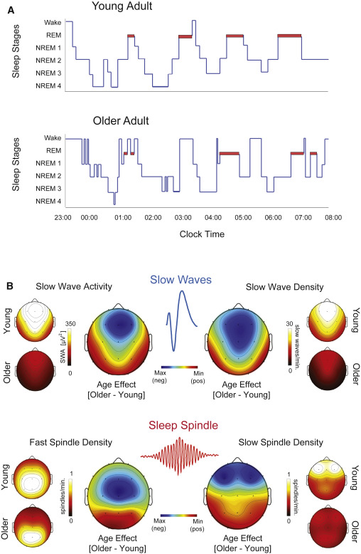 Your sleep quality declines as you age!